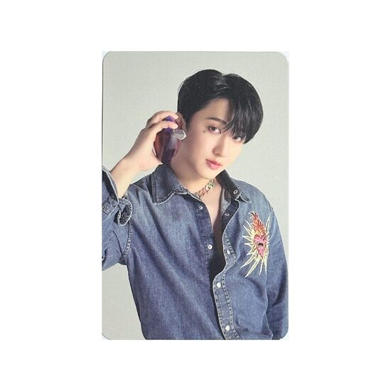 PHOTOCARD | Stray Kids [MAXIDENT]